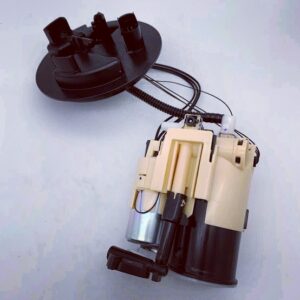 205 fuel pump